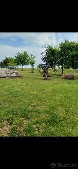 Sell beautiful plot at end of village approx 600sqm.