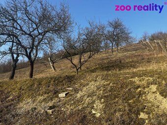 I am offering for sale a cottage with a terraced garden located just outside Litoměřice on the…