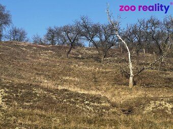 I am offering for sale a cottage with a terraced garden located just outside Litoměřice on the…
