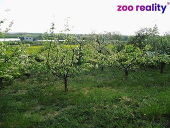 We are pleased to present in our next offer another terraced garden with a cottage.