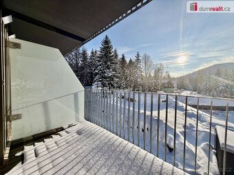 Provize RK 1 x měsíční nájem. Bez záloh na energie a služby 