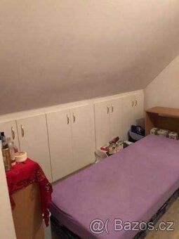 Rental in timber house Looking for healthiest housing for rent?
