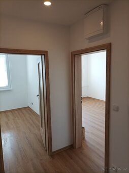 Pronajmu byt 2+1 (54m2) s prostorným balkónem a sklepní kójí