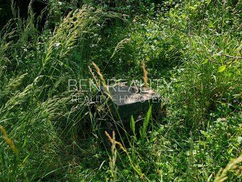 Exclusive sale - 2 cottages - residential building plot - Š