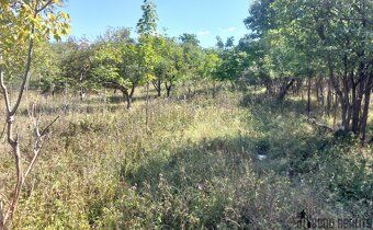 Sale of garden plots, total area 1 578 m2, Brno Ivanovice