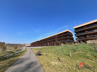 Pronájem, byty/1+kk, 35 m2, Lázeňská 2037, 27401 Slaný, Klad
