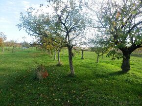 I am offering for sale a vineyard cottage with land.