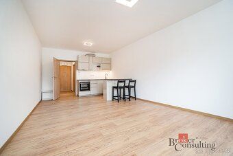 Pronájem, byty/1+kk, 35 m2, Lázeňská 2037, 27401 Slaný, Klad