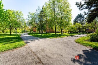 Podnájem, byty/2+1, 55 m2, Krestova 1279/16, 70030 Ostrava, 