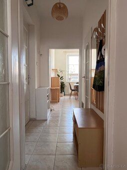Nabízím k pronájmu pěkný byt o dispozici 1+1 (46 m²) umístěn