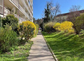 Nabízíme k pronájmu pěkný byt 3+kk, o ploše 75m2, ve zvýšené