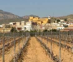 Apartment in Bigastro - New Build Bigastro - Alicante PRICE: €1