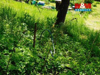 Rental of garden measuring 400 m² in the cadastral area of Turnov We offer