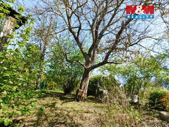Rental of garden measuring 400 m² in the cadastral area of Turnov We offer