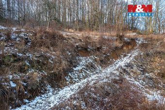 Nabízíme Vám k prodeji pozemek o ploše 4 585 m² v Benešově n