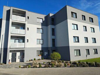 Nabízím k pronájmu prostorný byt 3+kk s balkónem a s vyhraze