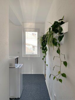 Pronajmu slunný byt 1+1+balkón v rodinném domě pracujícímu m