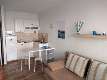 I offer for long-term sublet an apartment 1+kk with glazed loggia
