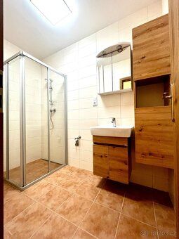 Newly renovated 2+1 apartment in Slovanka, in a sought-after quiet location.