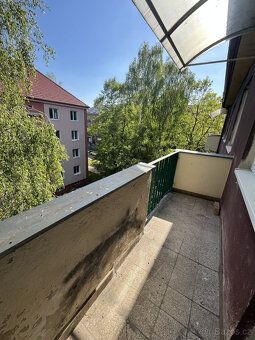 Looking for a spacious apartment with pleasant atmosphere and everything important within reach?