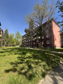 Looking for a spacious apartment with pleasant atmosphere and everything important within reach?
