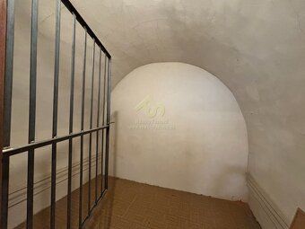 In the center of Rokycany town, I offer for rent non-residential space that used to serve as a…