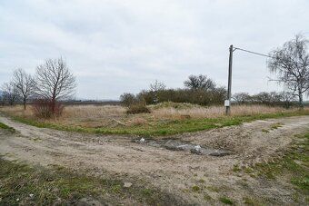 Small plot of land between Litoměřice and Lovosice. Currently