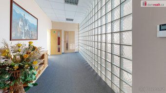 + služby 1.200,-Kč/měs. + kauce + provize RK, Ráda Vám zpros