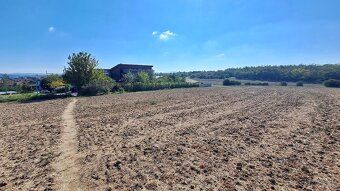 We offer for sale building plots in Hrušovany near Brno, at