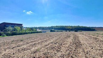 We offer for sale building plots in Hrušovany near Brno, at
