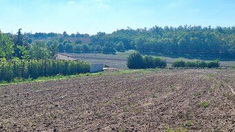 We offer for sale building plots in Hrušovany near Brno, at