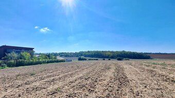 We offer for sale building plots in Hrušovany near Brno, at