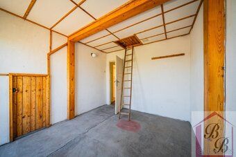 Sole agent for sale of family house