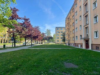 We offer for rent an apartment of layout 2+1 and size 56 m², located in the popular location…