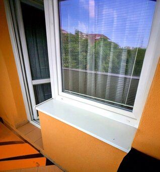 Looking for long-term rental of spacious and bright apartment