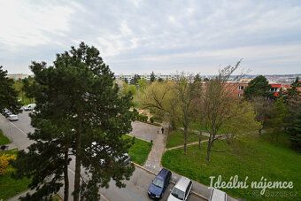 Пропонуємо оренду світлого квартири площею 1+1 за адресою
