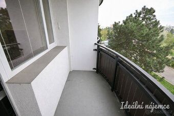 Пропонуємо оренду світлого квартири площею 1+1 за адресою