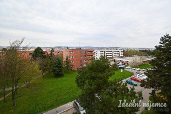 Пропонуємо оренду світлого квартири площею 1+1 за адресою