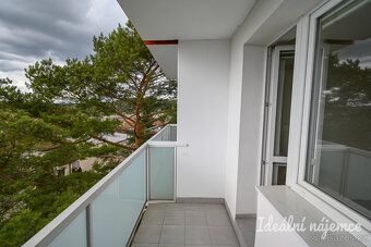 K dlouhodobému podnájmu nabízíme byt o dispozici 1+1 v oblíb