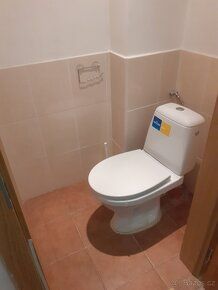 Rent of non-residential space in Uherské Hradiště with an area of 45 m2. For