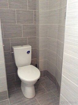 Nabízíme k pronájmu byt 1+1 o podlahové ploše 39 m2, který s