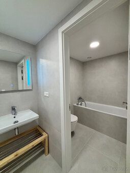 Nabízíme k dlouhodobému podnájmu prosvětlený moderní byt o d