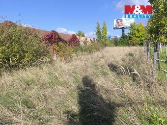 Oferujemy do wynajęcia rozległy ogród o powierzchni 1 835