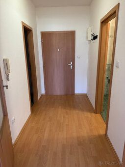 Rent apartment 1 + kitchenette 53 sqm in new brick building near city center of Písek.