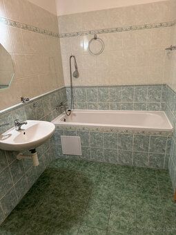 Rent apartment 1 + kitchenette 53 sqm in new brick building near city center of Písek.