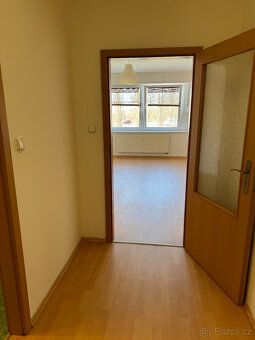 Rent apartment 1 + kitchenette 53 sqm in new brick building near city center of Písek.