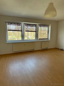 Rent apartment 1 + kitchenette 53 sqm in new brick building near city center of Písek.