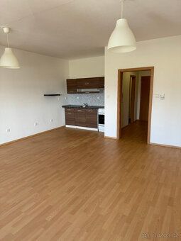 Rent apartment 1 + kitchenette 53 sqm in new brick building near city center of Písek.
