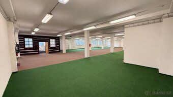 We offer for rent beautiful space after reconstruction with area