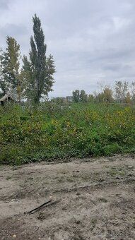 We offer a continuous plot of land with direct access to water measuring